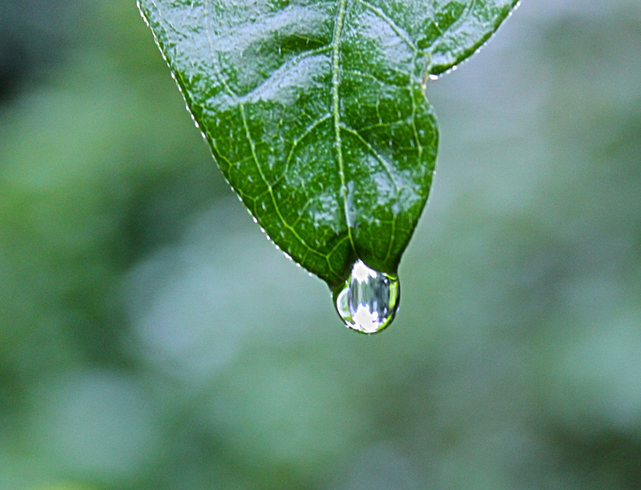 安卓ddos攻击工具